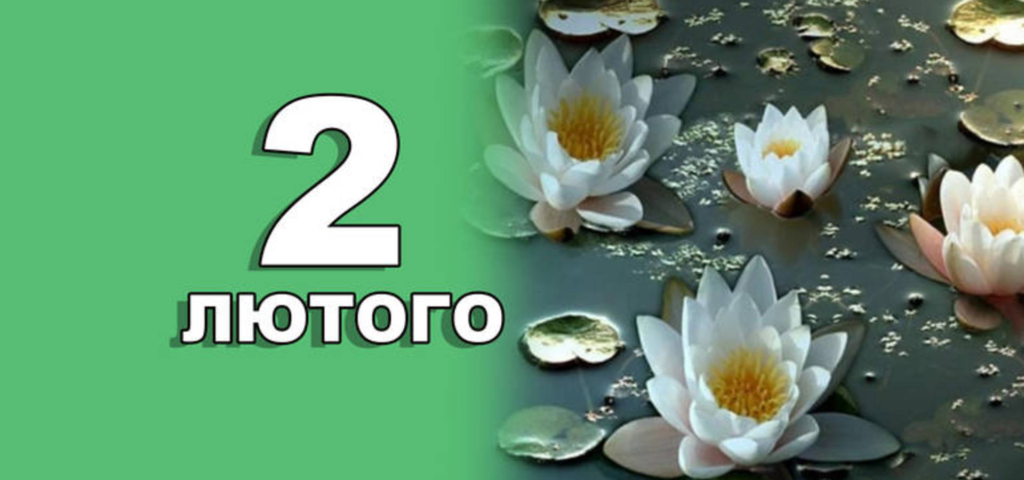 Шаблон копія 2