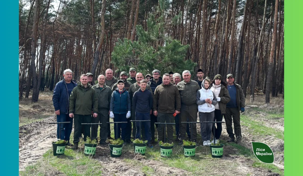 без названия 6 png