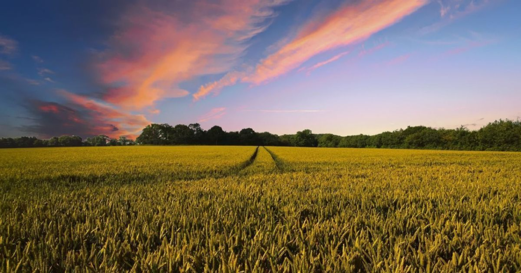 d63780fdd2cc704cff5d834799dabcb0