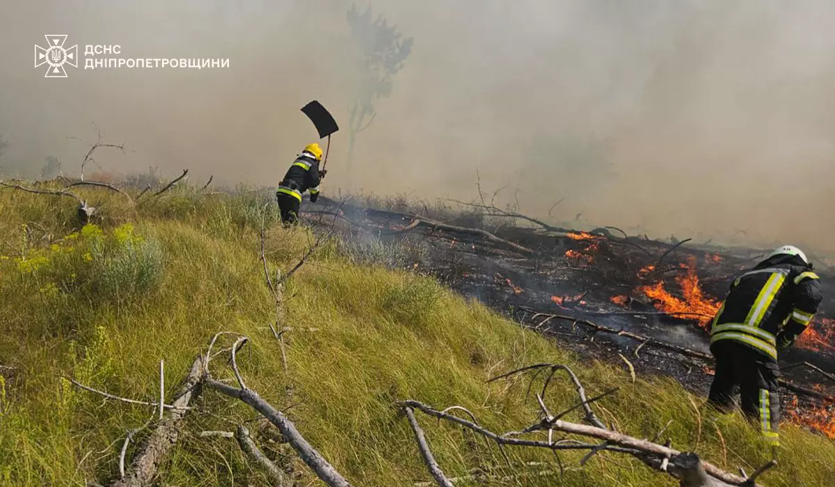 4.jpg e1752087959346