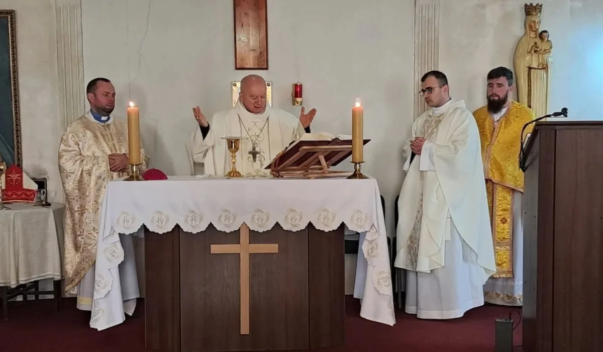 87867878227221878577958555