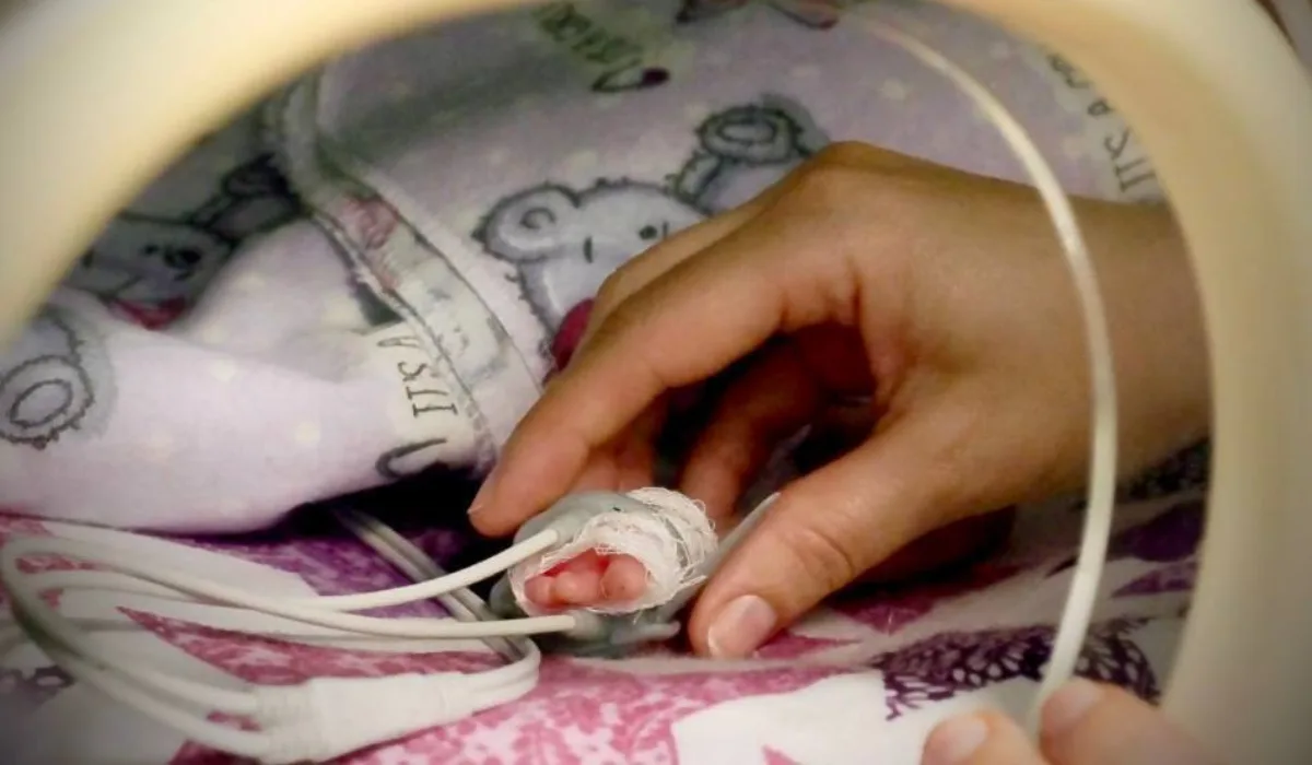 8970828181011877777378887978882627955689911