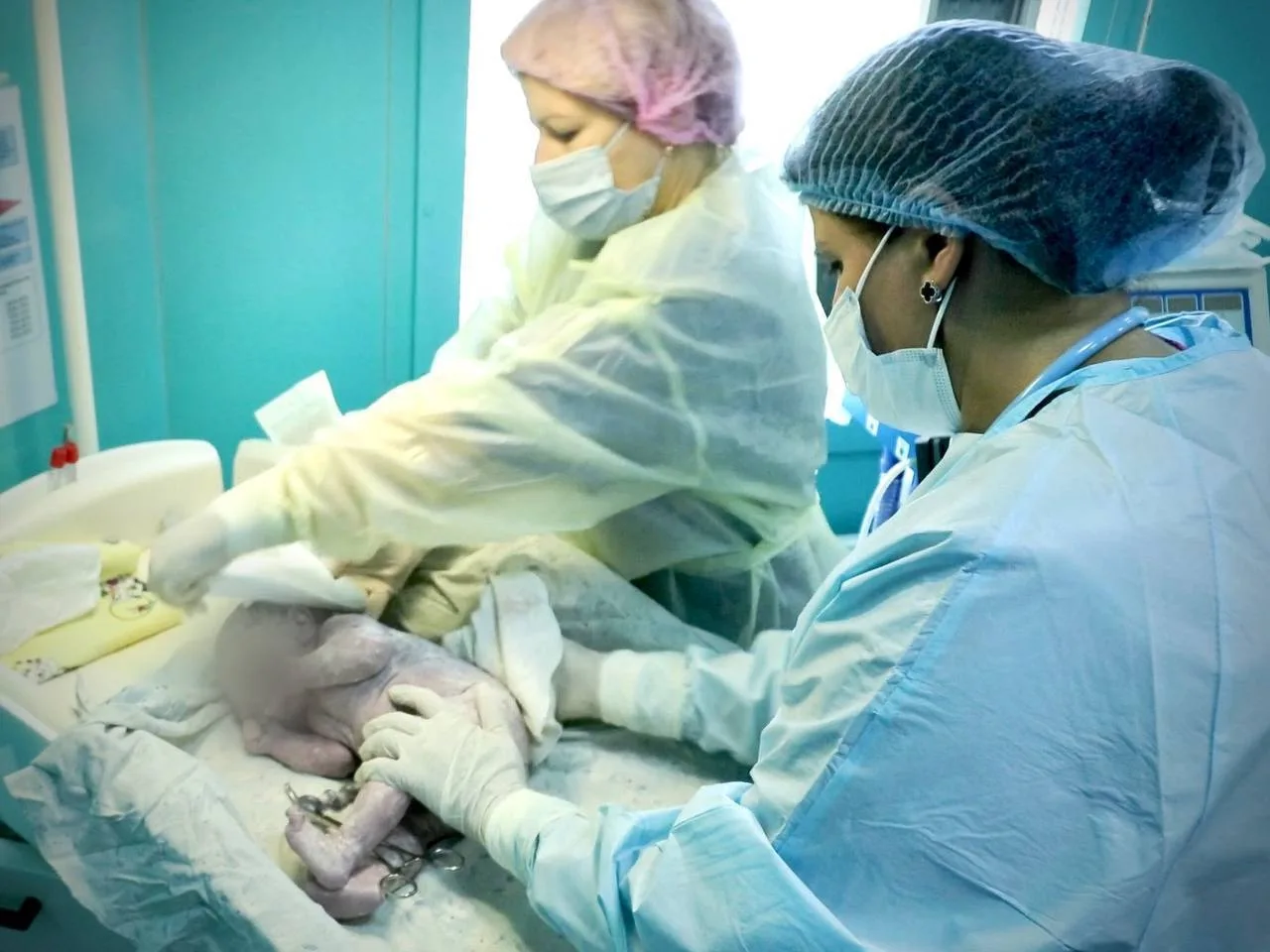 photo 2026 01 11 11 08 22