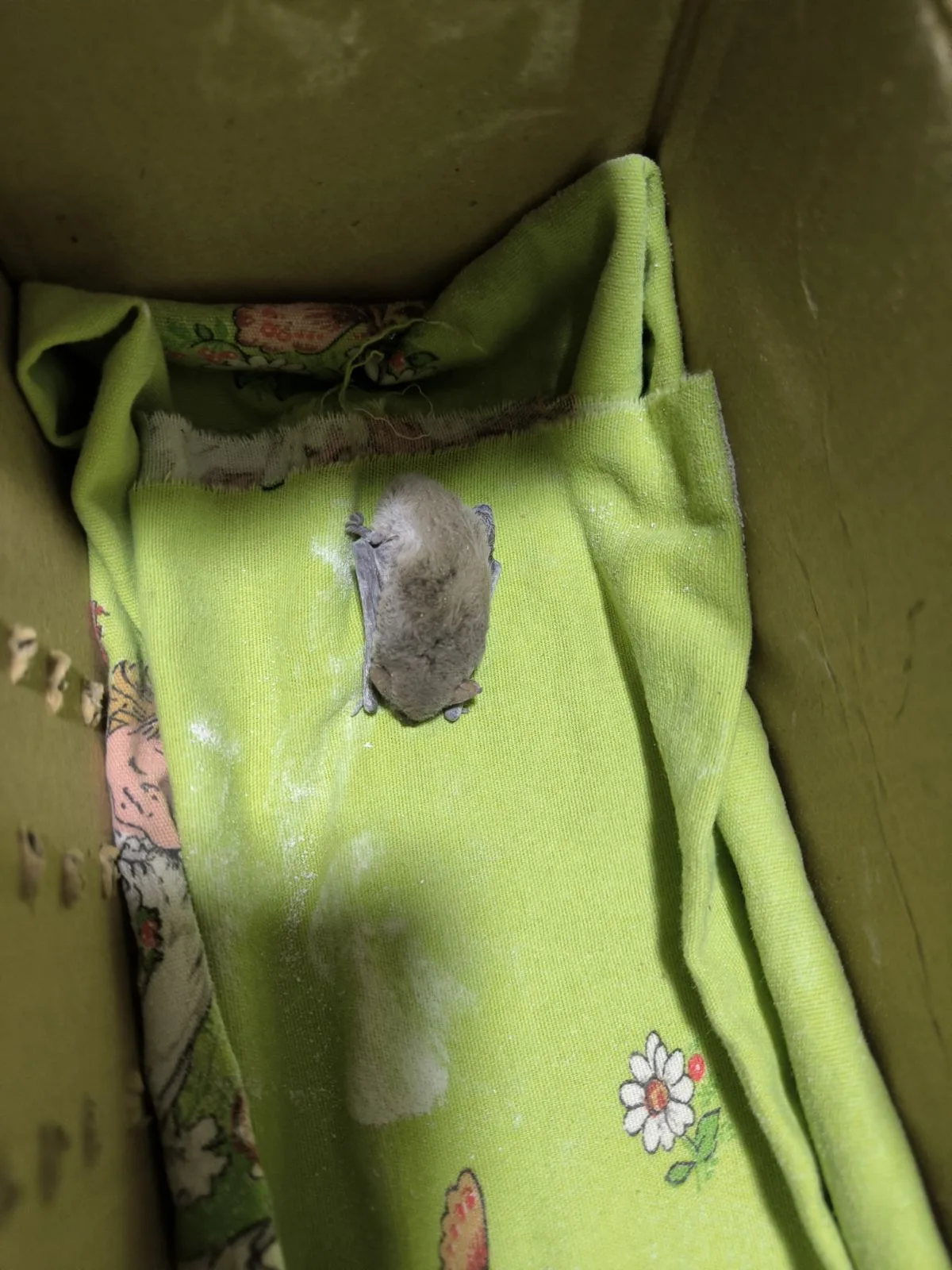 637703853 122266160288079735 2661351898640782705 n