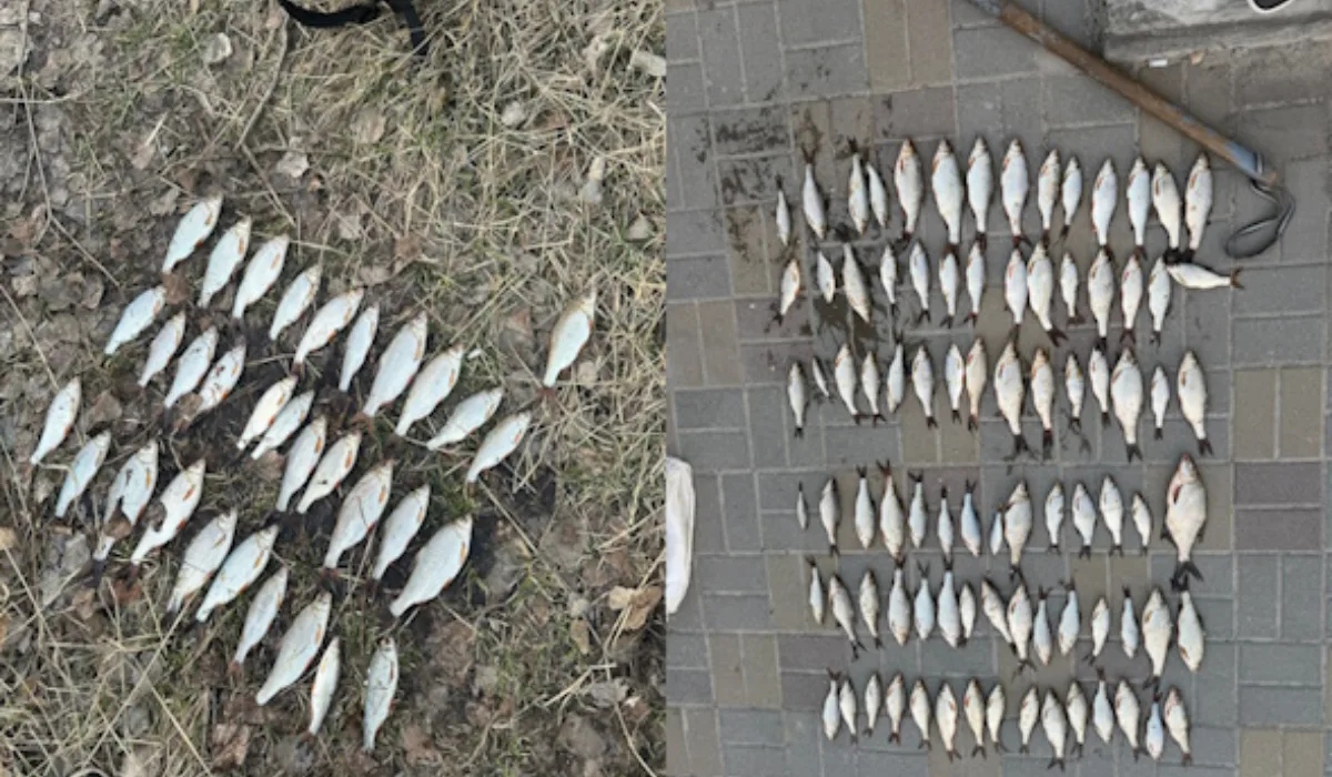 001112132533183019858058799331309737121