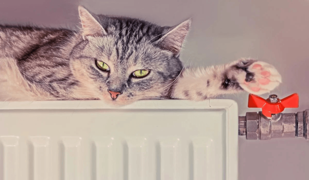 020119132921358901839103194131099737121