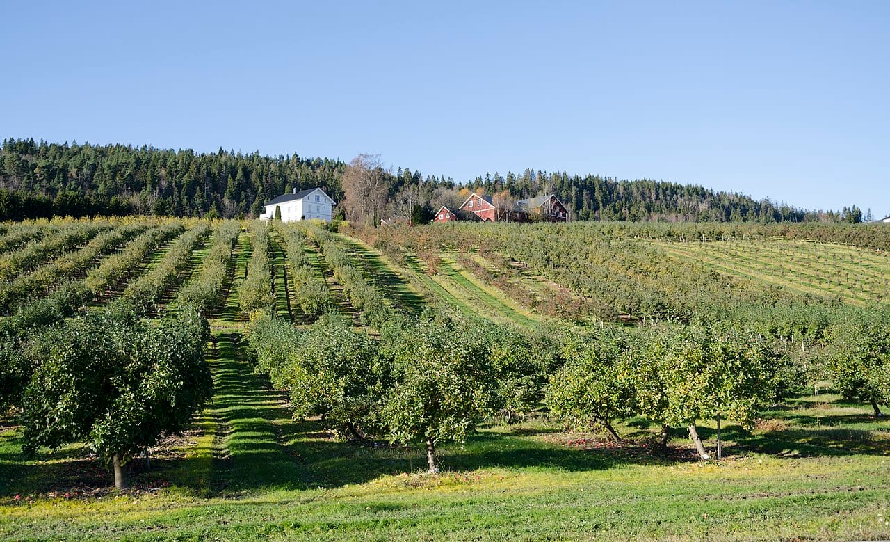 1280px Øvre Stoppen (1)