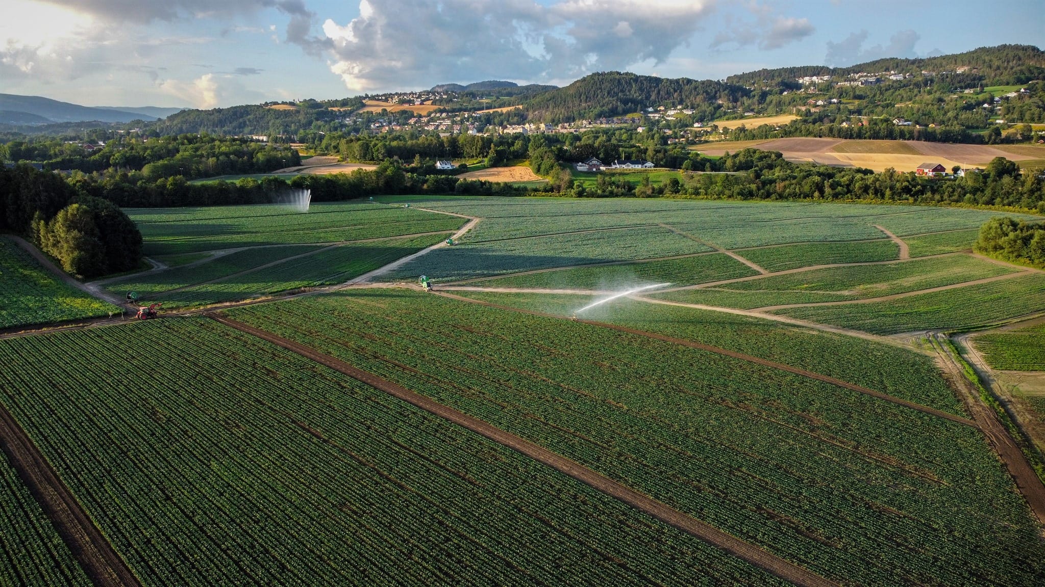 482243530 10162335841597943 3813802275170882931 n