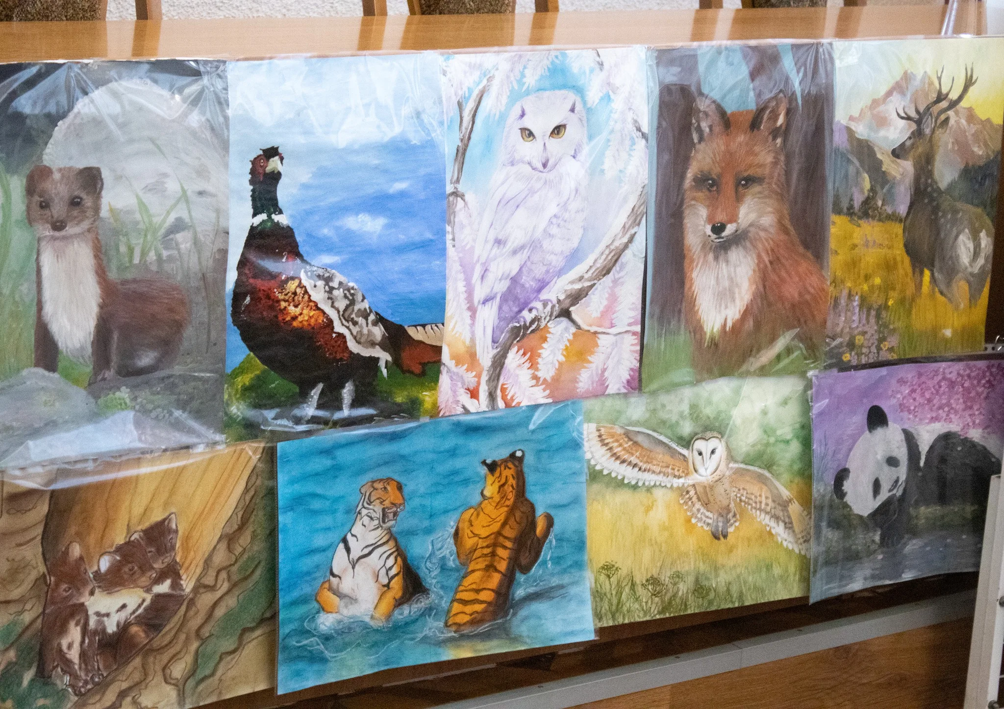 652254497 4310308275903000 4709023104439382734 n