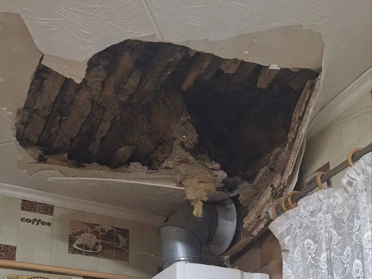 photo 2026 03 04 18 38 21