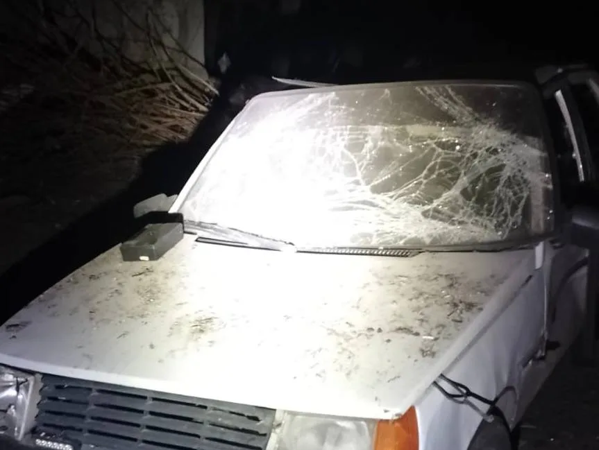 photo 2026 03 06 07 33 33