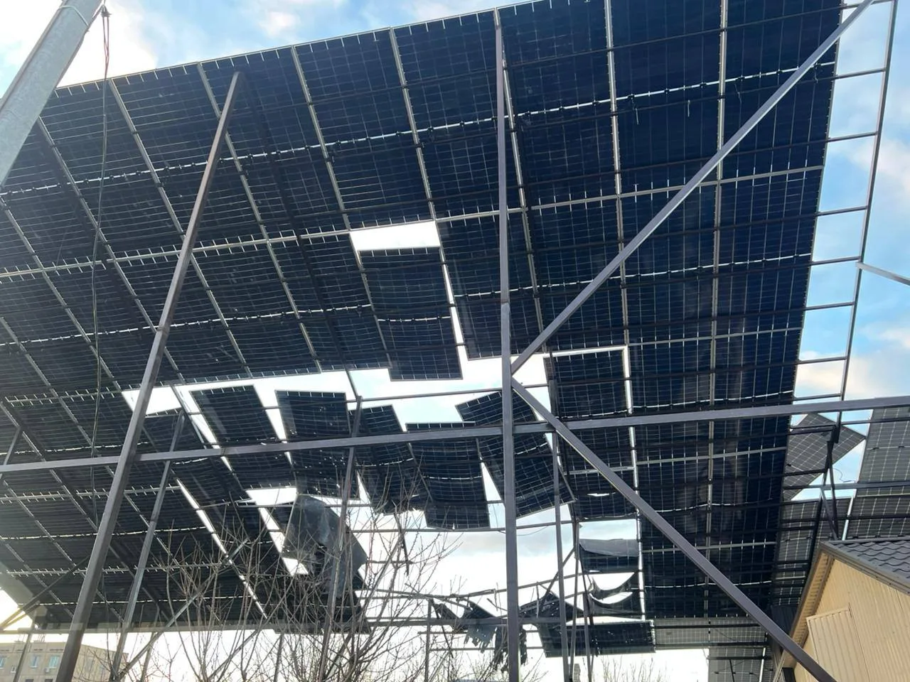 photo 2026 03 07 07 39 46