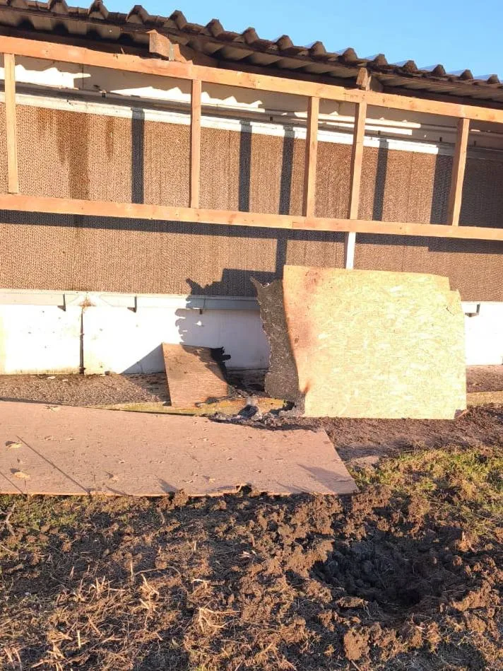 photo 2026 03 11 08 00 15