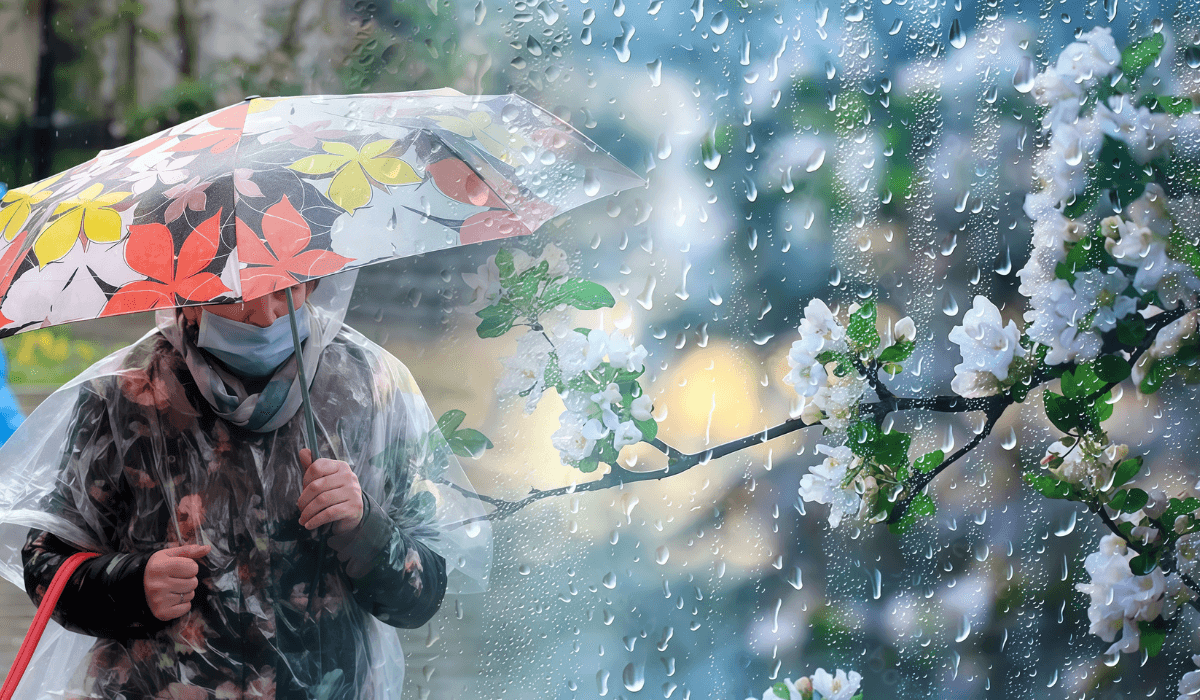 02013911713477200007654