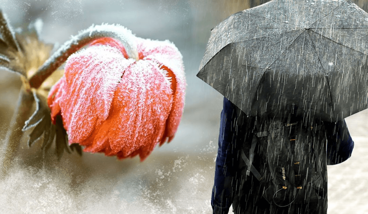 026039987922331709223078322740074654