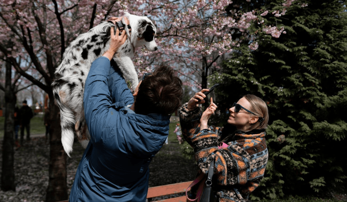 026043919389373920203493013973019329992370172460228322740074654