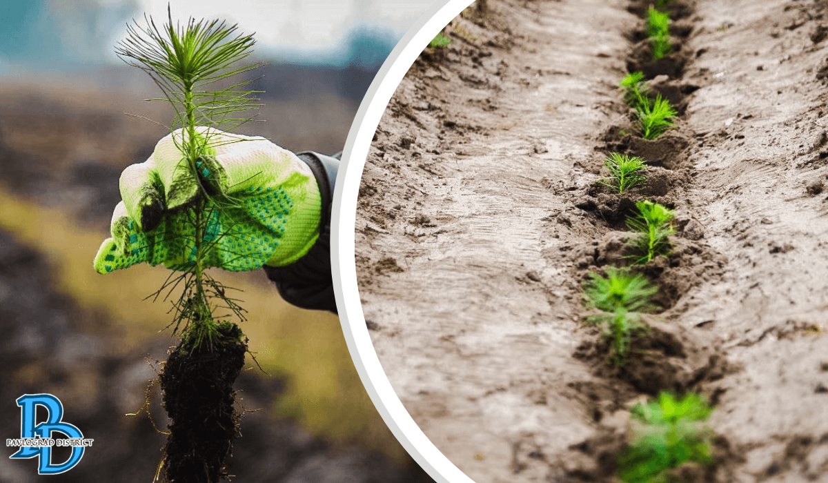 0260439193893773920201346983013973019329992370172460228322740074654