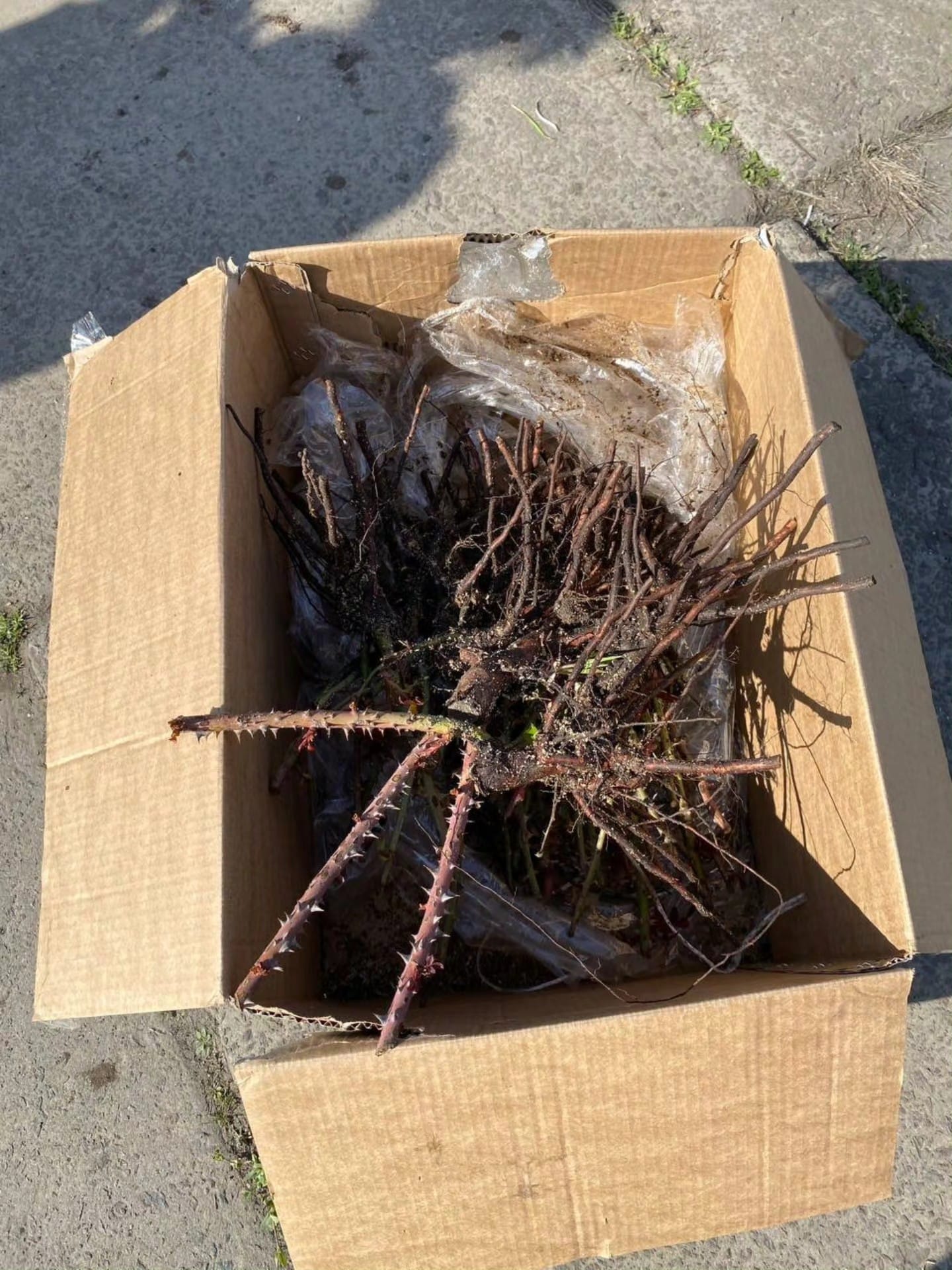 678715694 944259815249809 7600544026697490997 n