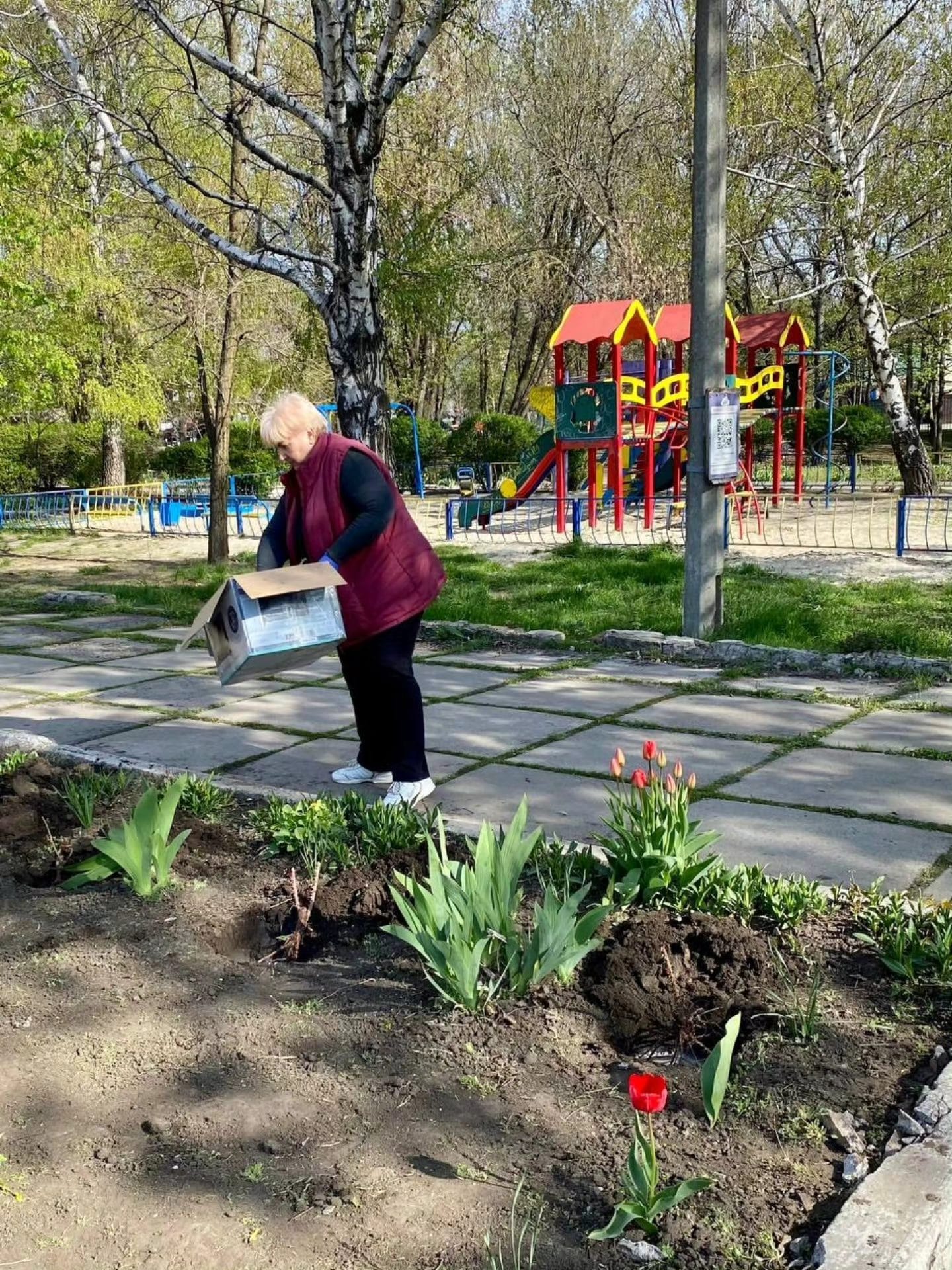 681475990 944259811916476 699835639054953272 n