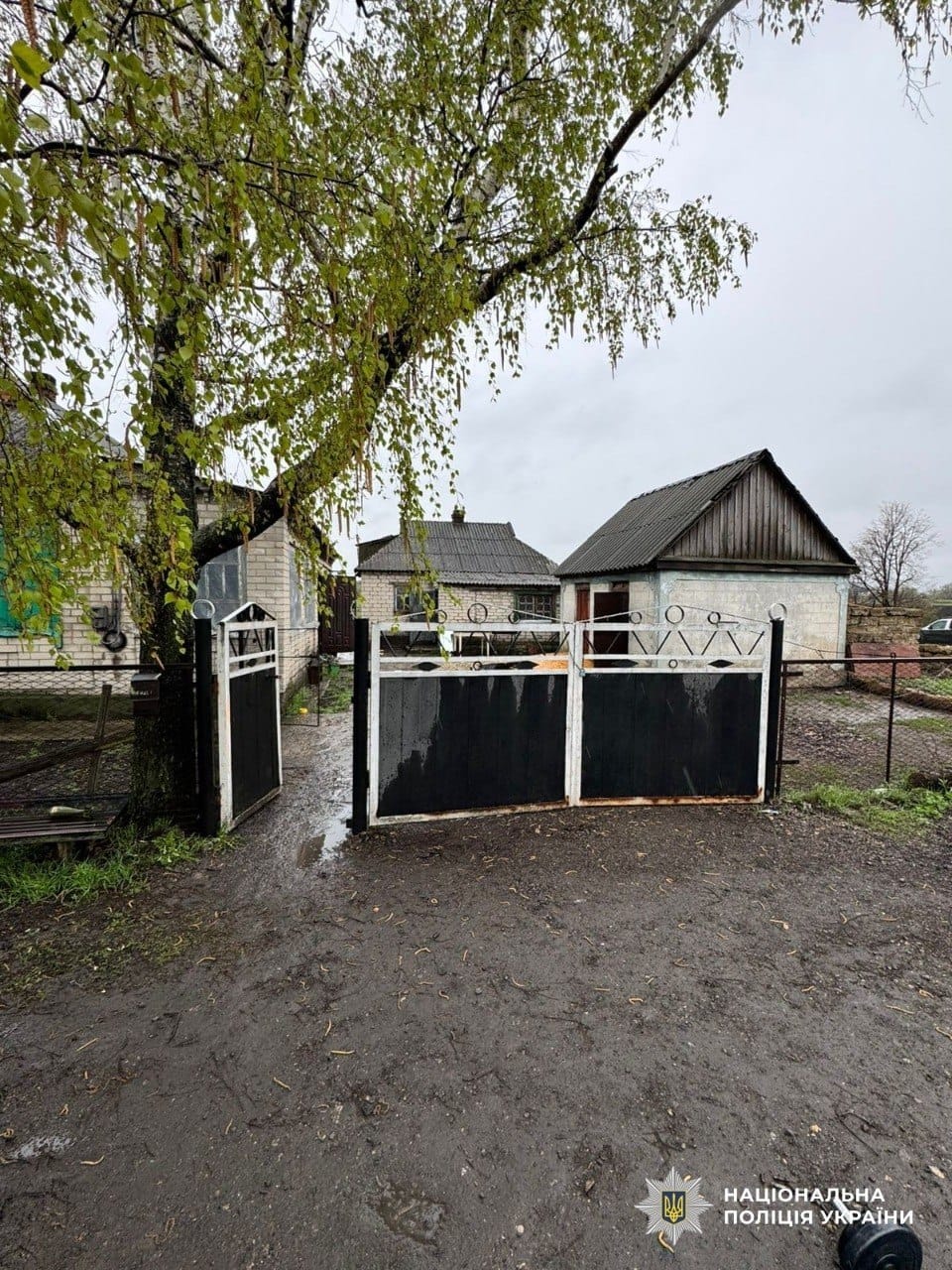 photo 2026 04 21 10 45 27