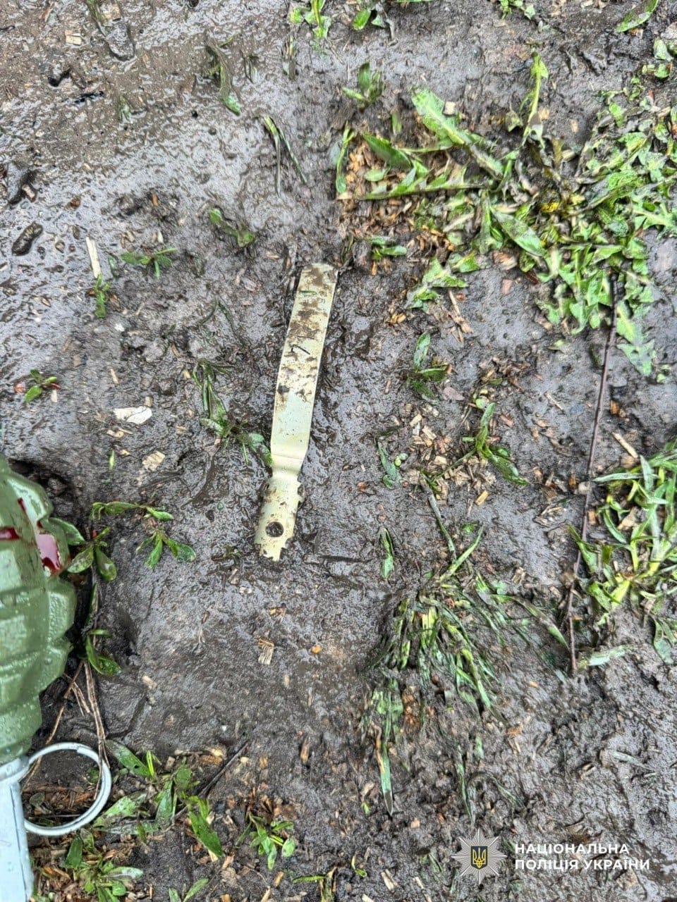 photo 2026 04 21 10 45 31